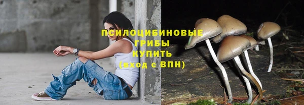 ECSTASY Абинск