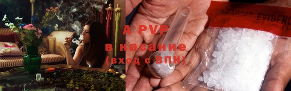 прущие крисы Абаза