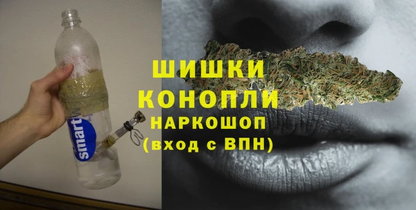 ПСИЛОЦИБИНОВЫЕ ГРИБЫ Алексеевка