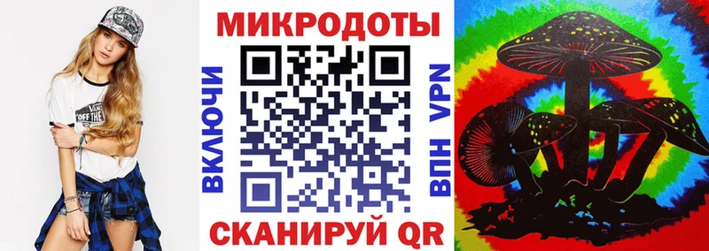 Галлюциногенные грибы Psilocybe  Чебаркуль 
